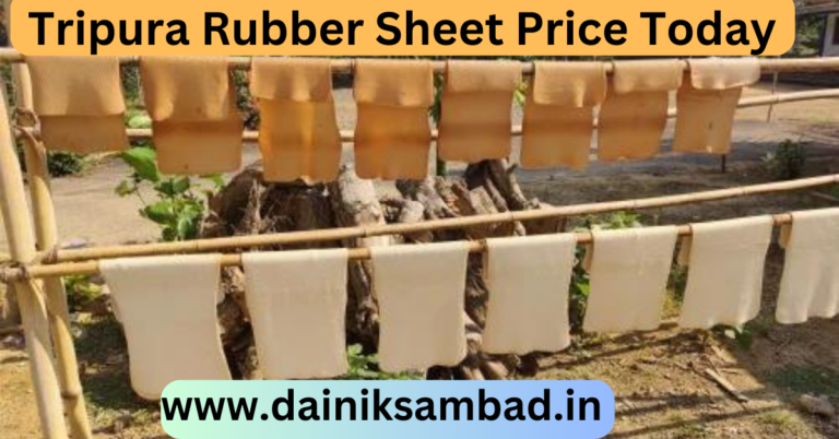 Tripura Rubber Sheet Price Today